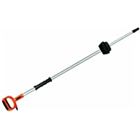 Los mejores  - Worx WA0163 - Pértiga para Jawsaw